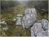 Koprivna (Kumer) - Velika glava (Peca)